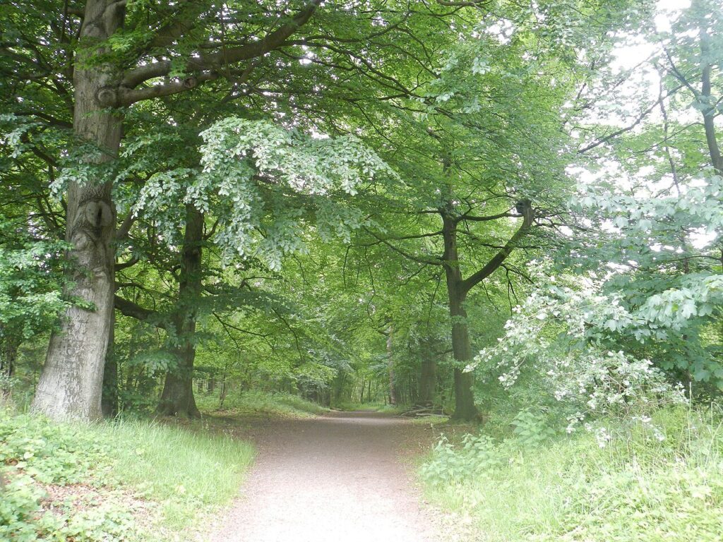 Wandelen met een gids in Venray