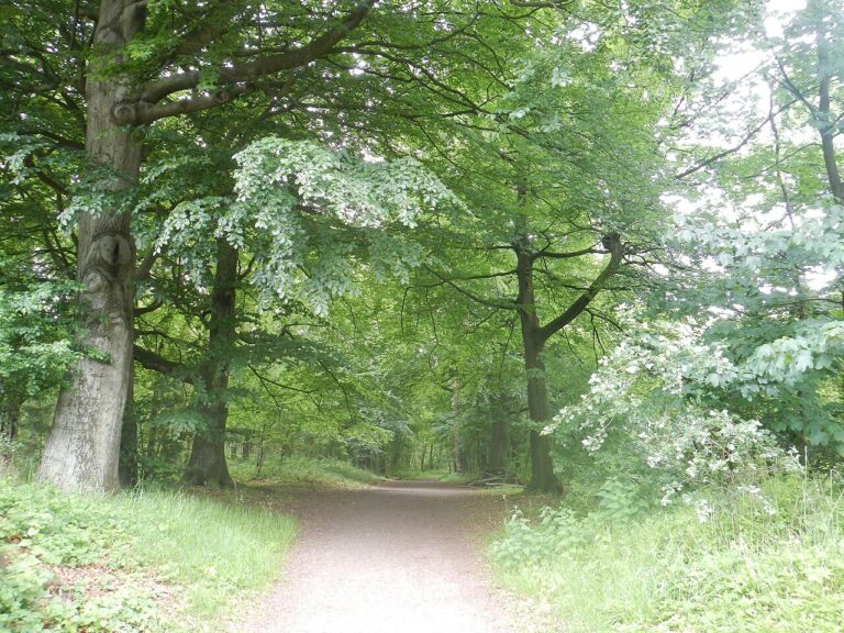 Excursie Duik in de geschiedenis van Kasteelruïne Bleijenbeek — natuur in Venray
