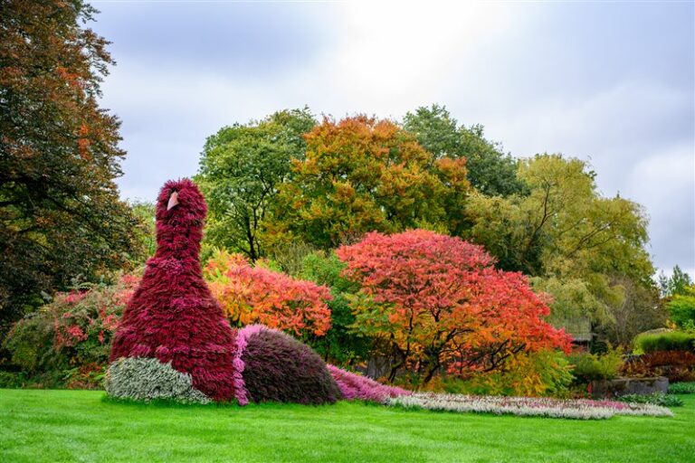 Herfstig — natuur in Venray