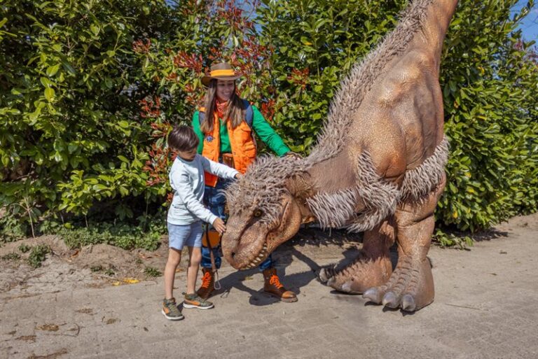 Dino weken in Zooparc Overloon — attracties in Venray